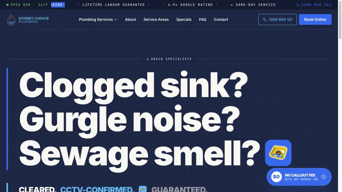 Sydney Choice Plumbing symptom-led drain category page