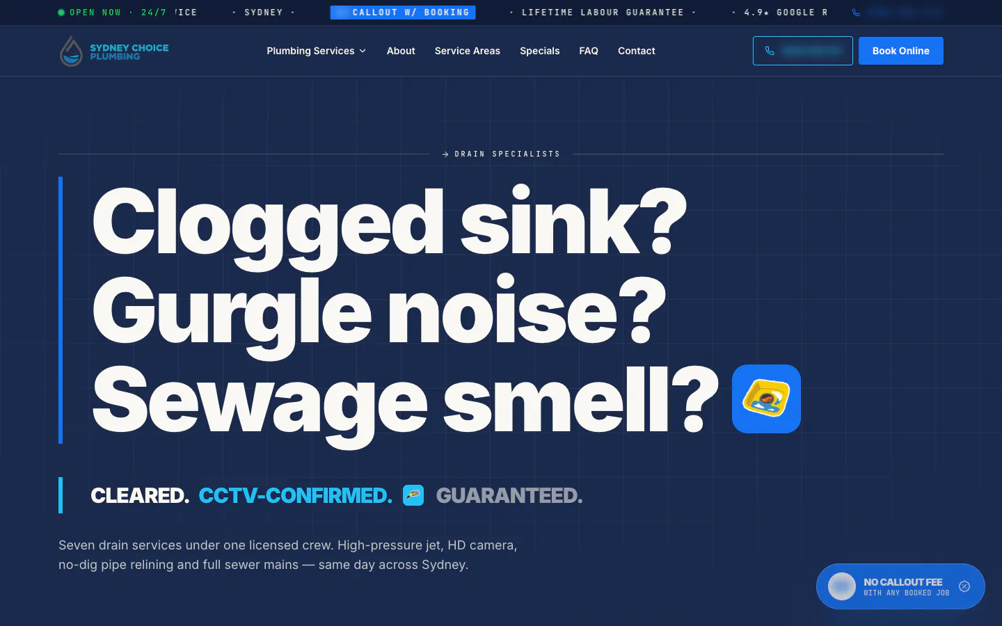 Sydney Choice Plumbing drains category page opening on three drain symptoms
